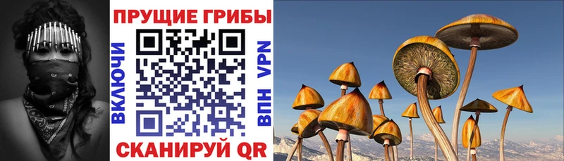 Галлюциногенные грибы GOLDEN TEACHER  как найти закладки  Урай 